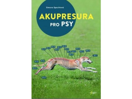 Akupresura pro psy