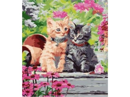 Diamantové malování Koťata v zahradě