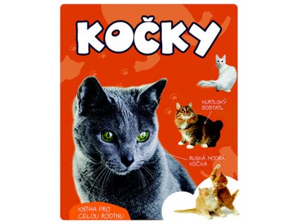 Kočky