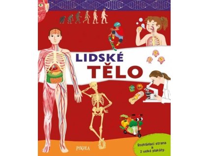 Lidské tělo