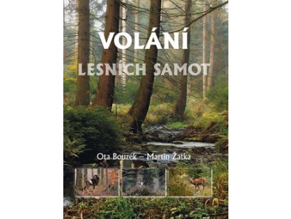 Volání lesních samot