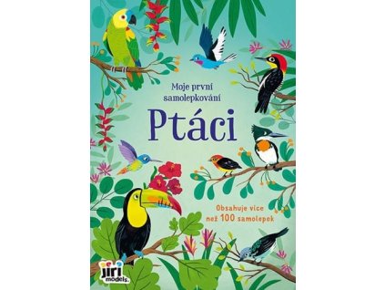 Moje první samolepkování Ptáci