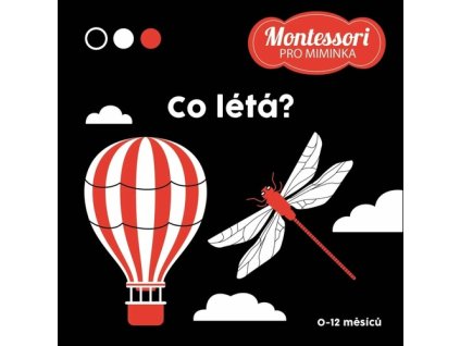 Co létá?