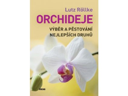 Orchideje