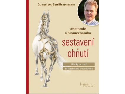 Anatomie a biomechanika sestavení a ohnutí