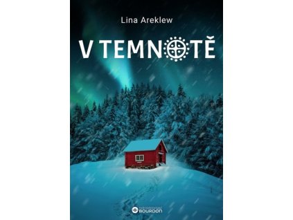 V temnotě