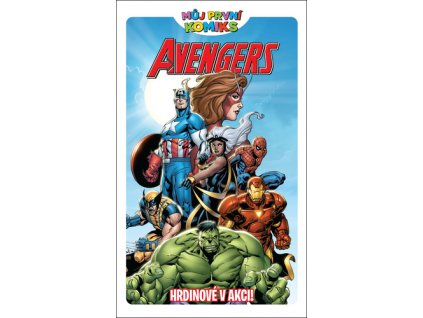Avengers Hrdinové v akci!