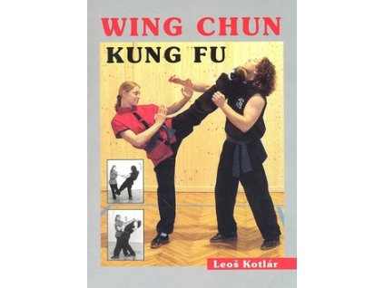 Wing Chun Kung fu