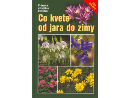 Co kvete od jara do zimy