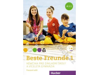 Beste Freunde 1 (A1/1) pracovní sešit