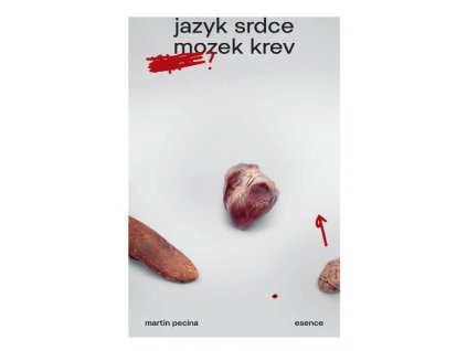 jazyk srdce