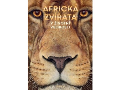 Africká zvířata V životní velikosti