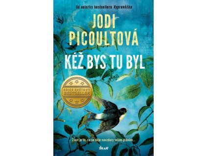 Kéž bys tu byl