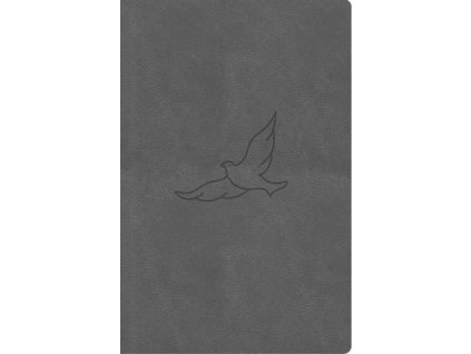 Bible21 kapesní Pepper