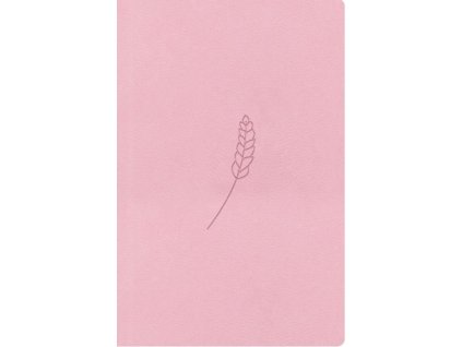 Bible21 kapesní Rosé