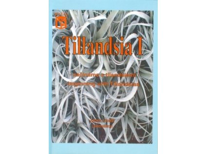 Tillandsia I