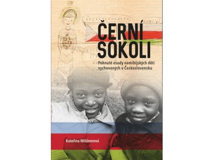 Černí sokoli