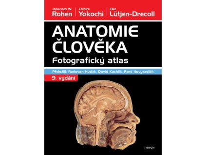 Anatomie člověka