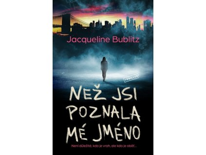 Než jsi poznala mé jméno