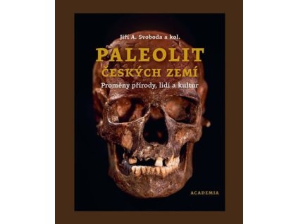 Paleolit českých zemí
