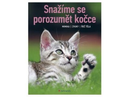 Snažíme se porozumět kočce