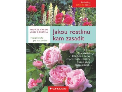 Jakou rostlinu kam zasadit