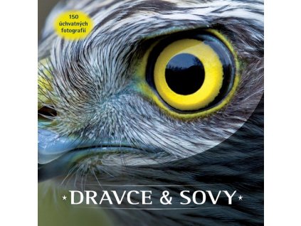 Dravce a sovy