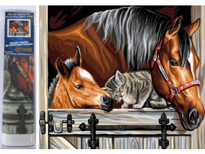Diamantové malování Koně s kočkou 30x40cm