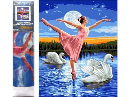 Diamantové malování Baletka mezi labutěmi