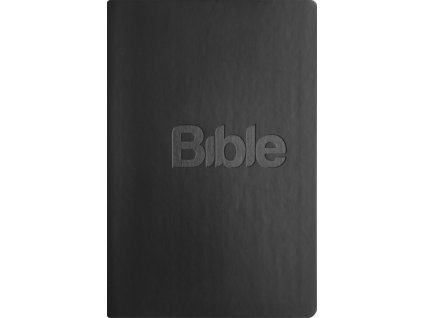 Bible 21