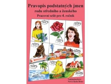 Pravopis podstatných jmen rodu středního a ženského