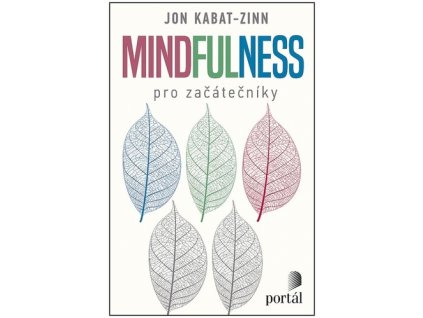 Mindfulness pro začátečníky