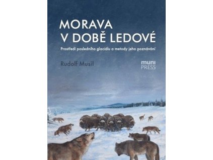 Morava v době ledové