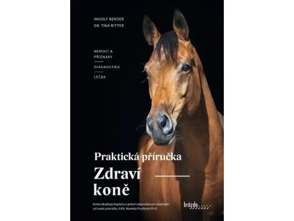 Zdraví koně
