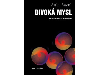 Divoká mysl
