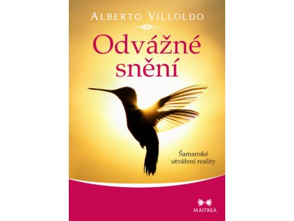 Odvážné snění
