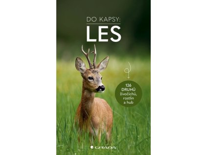 Do kapsy Les