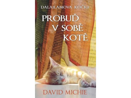 Dalajlamova kočka Probuď v sobě kotě