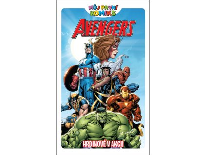 Avengers Hrdinové v akci!