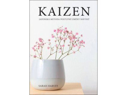 Kaizen Japonská metoda postupné změny návyků