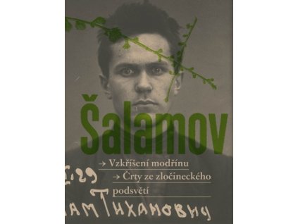 Vzkříšení modřínů