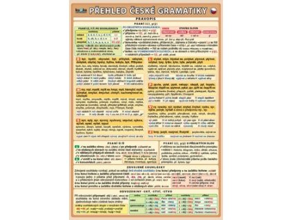Přehled české gramatiky