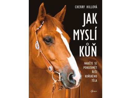 Jak myslí kůň