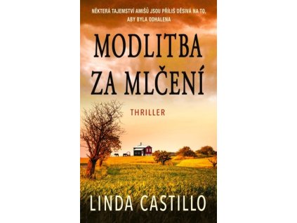 Modlitba za mlčení