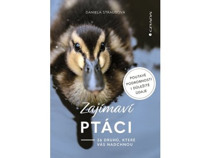 Zajímaví ptáci