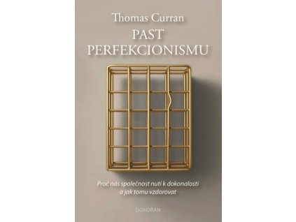 Past perfekcionismu