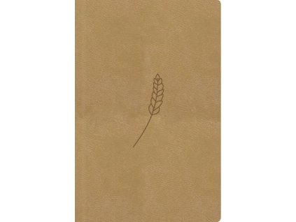 Bible21 kapesní Honey