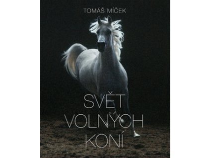 Svět volných koní