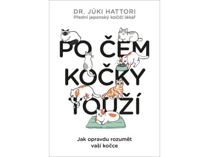 Po čem kočky touží?