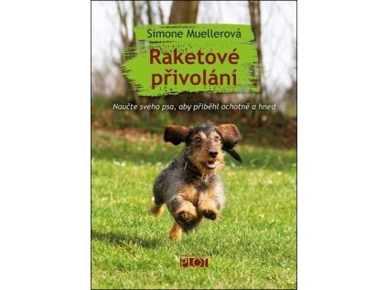 Raketové přivolání